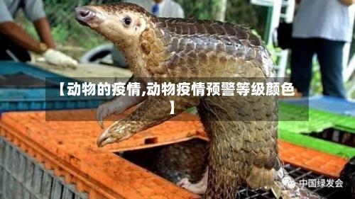 【动物的疫情,动物疫情预警等级颜色】-第2张图片