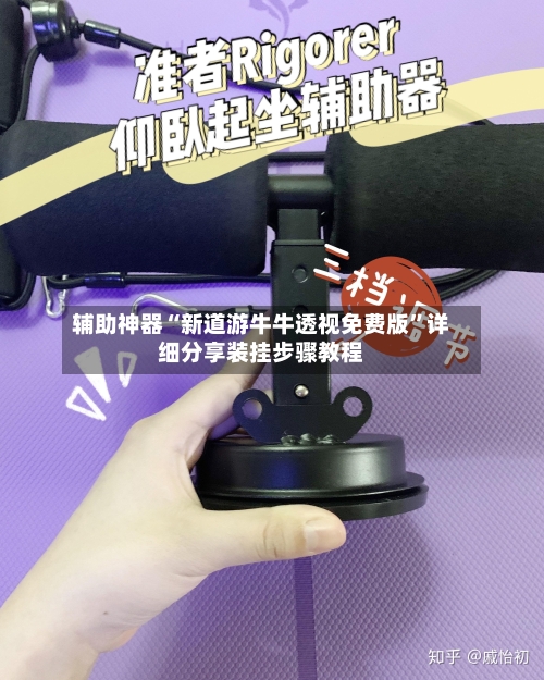 辅助神器“新道游牛牛透视免费版”详细分享装挂步骤教程-第2张图片