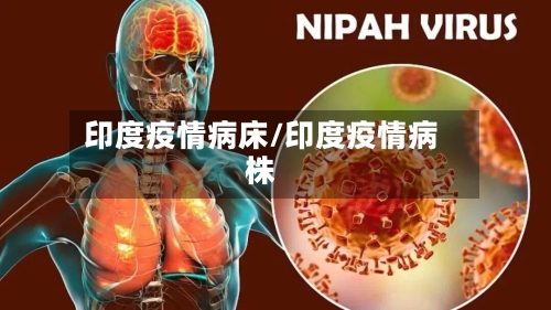 印度疫情病床/印度疫情病株-第3张图片