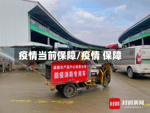 疫情当前保障/疫情 保障