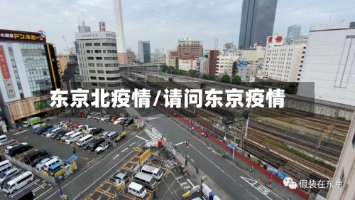 东京北疫情/请问东京疫情-第2张图片