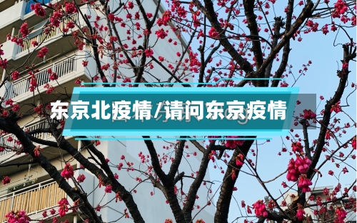 东京北疫情/请问东京疫情-第1张图片