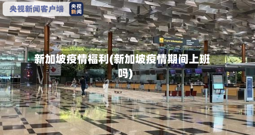 新加坡疫情福利(新加坡疫情期间上班吗)-第2张图片