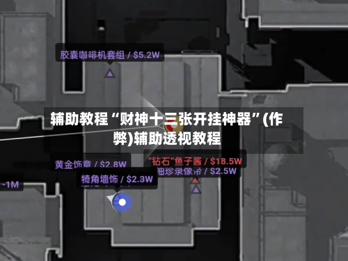 辅助教程“财神十三张开挂神器	”(作弊)辅助透视教程-第2张图片