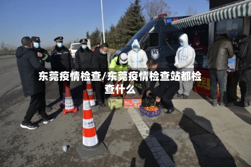 东莞疫情检查/东莞疫情检查站都检查什么-第3张图片