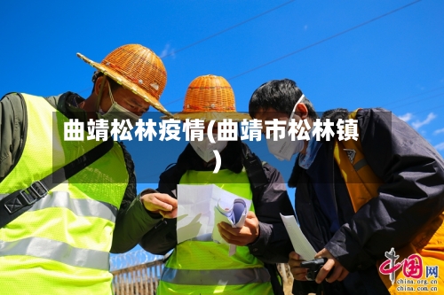 曲靖松林疫情(曲靖市松林镇)-第2张图片