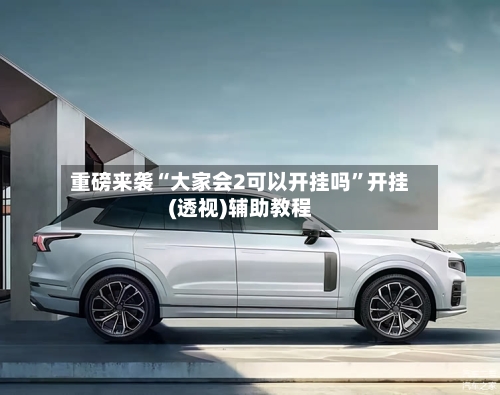 重磅来袭“大家会2可以开挂吗	”开挂(透视)辅助教程-第2张图片