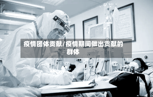 疫情团体贡献/疫情期间做出贡献的群体