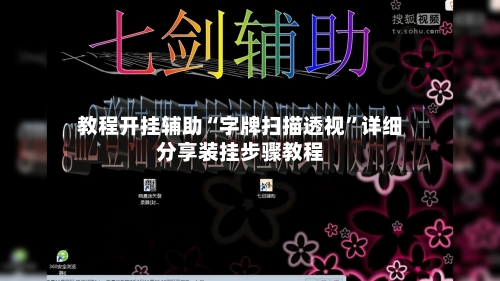 教程开挂辅助“字牌扫描透视”详细分享装挂步骤教程-第1张图片