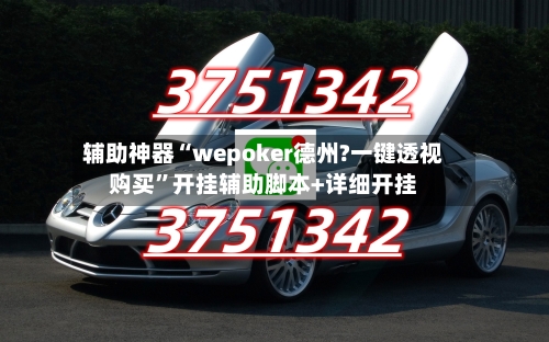 辅助神器“wepoker德州?一键透视购买”开挂辅助脚本+详细开挂