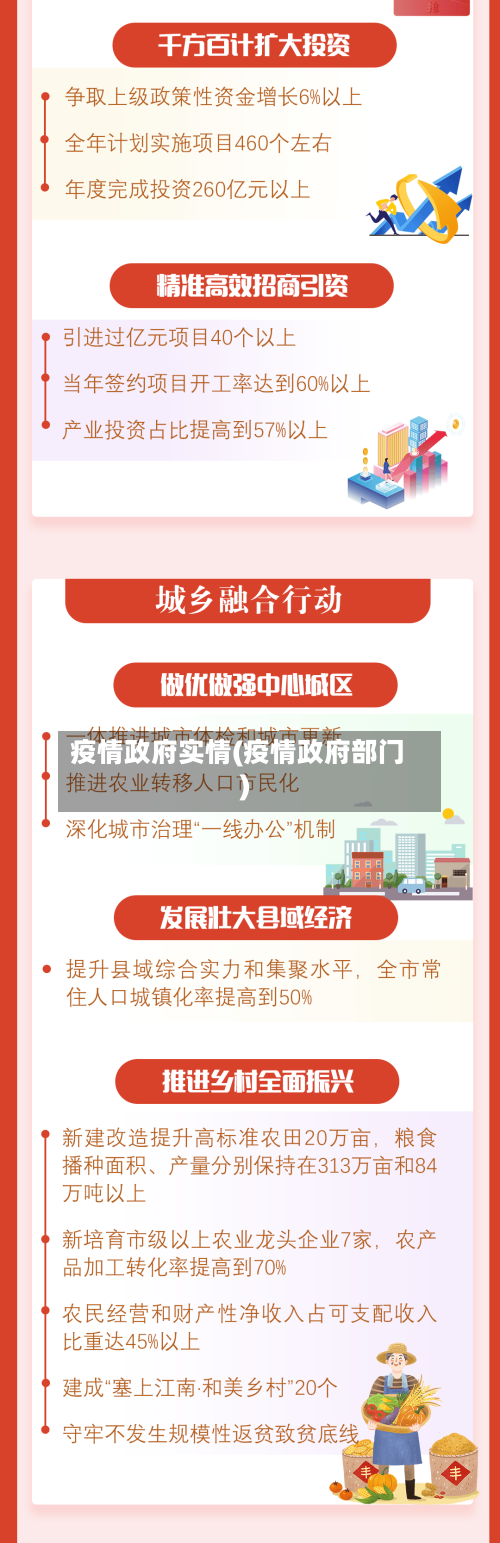 疫情政府实情(疫情政府部门)