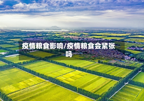 疫情粮食影响/疫情粮食会紧张吗