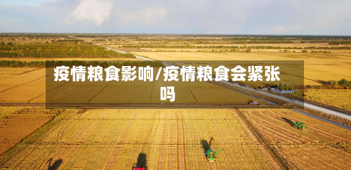 疫情粮食影响/疫情粮食会紧张吗-第3张图片