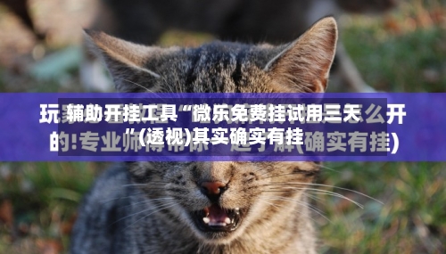 辅助开挂工具“微乐免费挂试用三天”(透视)其实确实有挂
