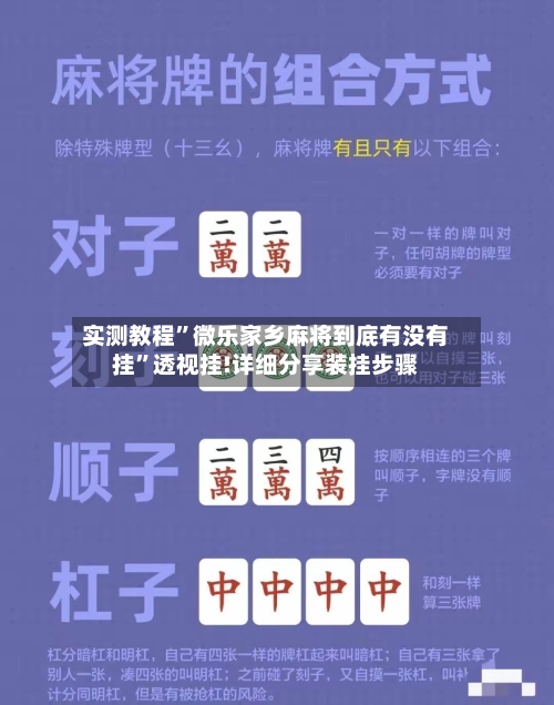 实测教程”微乐家乡麻将到底有没有挂	”透视挂!详细分享装挂步骤-第3张图片