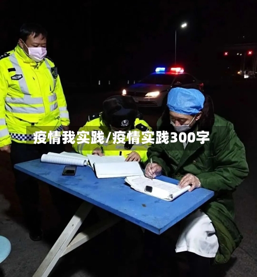 疫情我实践/疫情实践300字-第2张图片