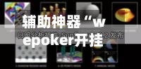 辅助神器“wepoker开挂”(透视)详细透视辅助教程