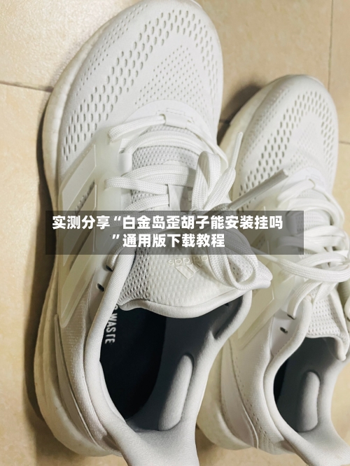 实测分享“白金岛歪胡子能安装挂吗	”通用版下载教程-第2张图片