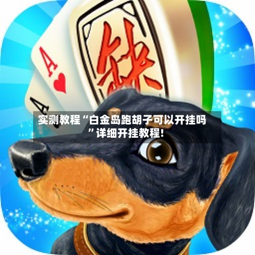 实测教程“白金岛跑胡子可以开挂吗”详细开挂教程!-第3张图片