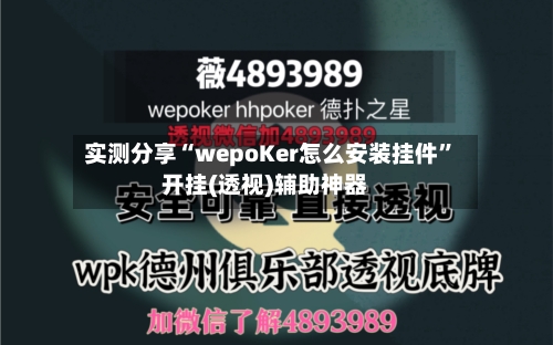 实测分享“wepoKer怎么安装挂件”开挂(透视)辅助神器-第2张图片