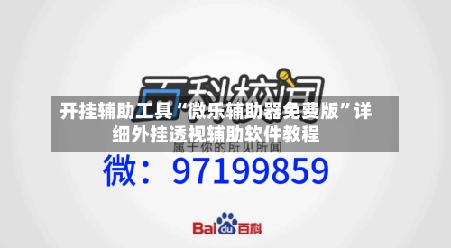 开挂辅助工具“微乐辅助器免费版	”详细外挂透视辅助软件教程-第2张图片