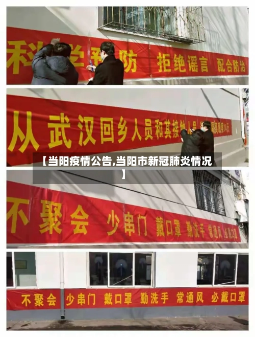 【当阳疫情公告,当阳市新冠肺炎情况】