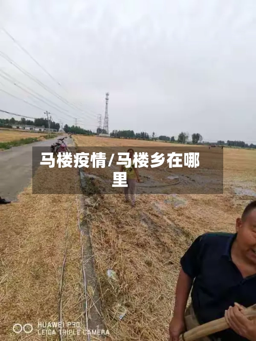 马楼疫情/马楼乡在哪里-第2张图片