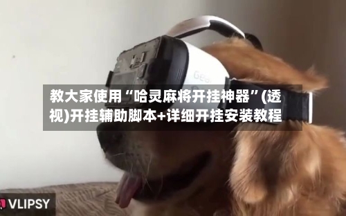 教大家使用“哈灵麻将开挂神器”(透视)开挂辅助脚本+详细开挂安装教程-第1张图片