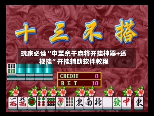 玩家必读“中至余干麻将开挂神器+透视挂”开挂辅助软件教程-第2张图片