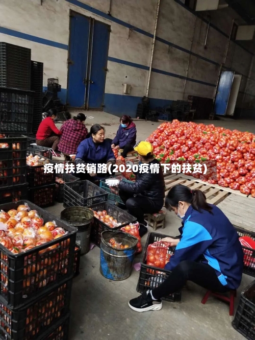 疫情扶贫销路(2020疫情下的扶贫)
