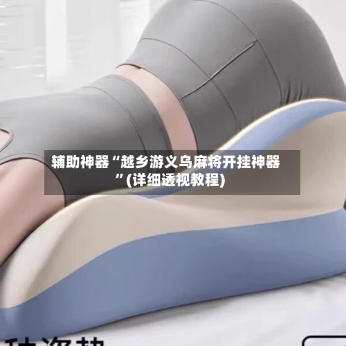 辅助神器“越乡游义乌麻将开挂神器”(详细透视教程)-第2张图片