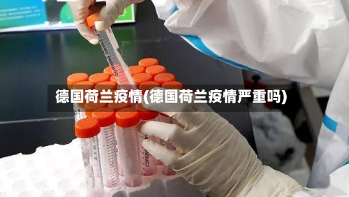 德国荷兰疫情(德国荷兰疫情严重吗)-第2张图片