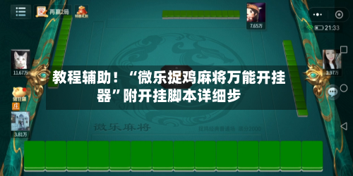 教程辅助！“微乐捉鸡麻将万能开挂器”附开挂脚本详细步-第2张图片