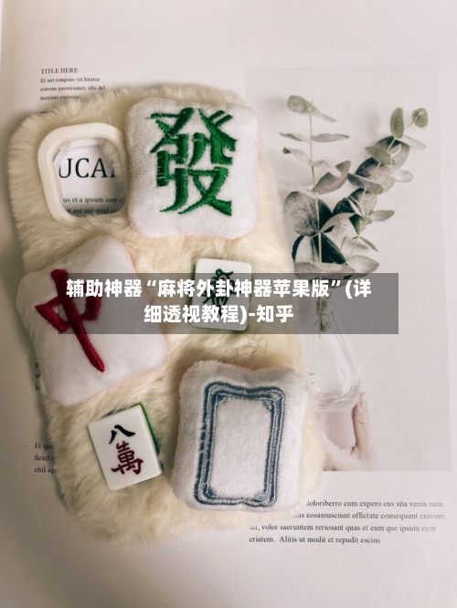 辅助神器“麻将外卦神器苹果版”(详细透视教程)-知乎