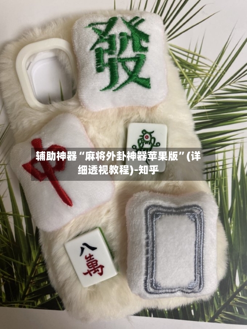 辅助神器“麻将外卦神器苹果版	”(详细透视教程)-知乎-第2张图片