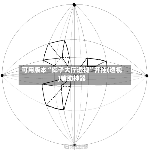 可用版本“椰子大厅透视	”开挂(透视)辅助神器-第2张图片
