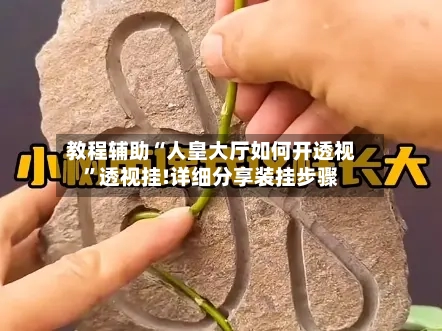 教程辅助“人皇大厅如何开透视	”透视挂!详细分享装挂步骤-第2张图片