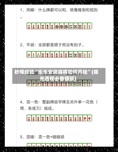 秒懂经验“乐乐安徽麻将如何开挂”(曝光透视必备猫腻)