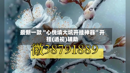 最新一款“心悦填大坑开挂神器”开挂(透视)辅助