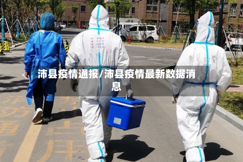 沛县疫情通报/沛县疫情最新数据消息-第2张图片