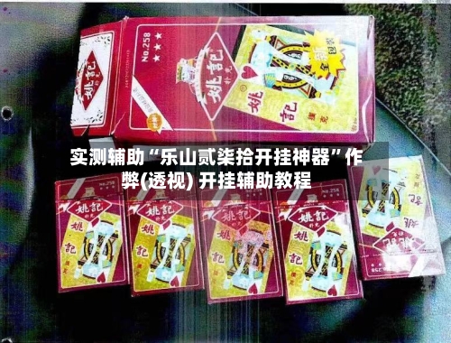 实测辅助“乐山贰柒拾开挂神器”作弊(透视) 开挂辅助教程-第2张图片