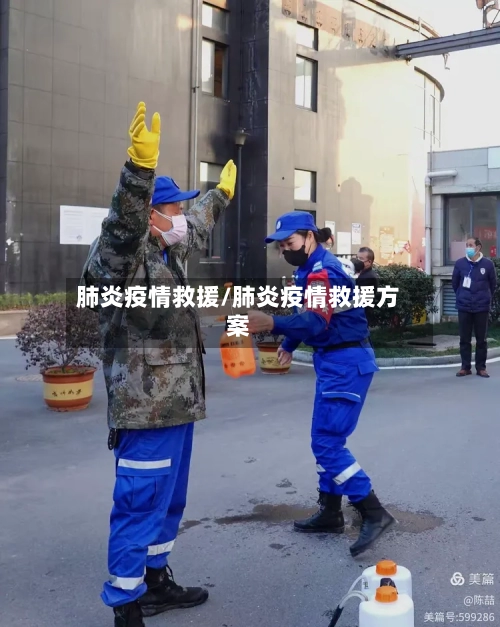 肺炎疫情救援/肺炎疫情救援方案-第3张图片