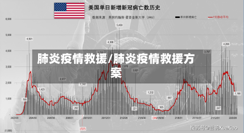 肺炎疫情救援/肺炎疫情救援方案