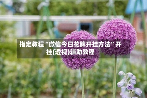 指定教程“微信今日花牌开挂方法”开挂(透视)辅助教程-第1张图片