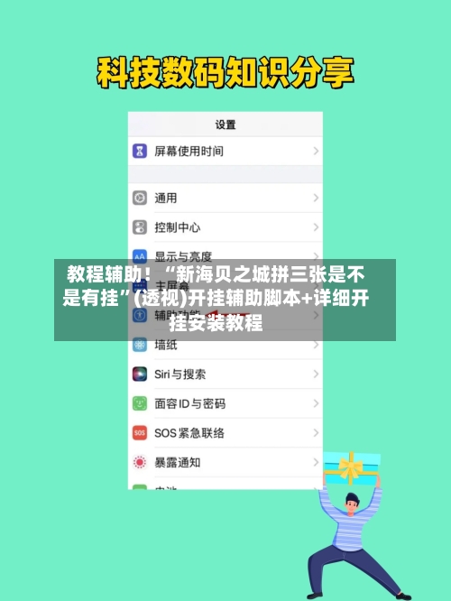 教程辅助！“新海贝之城拼三张是不是有挂”(透视)开挂辅助脚本+详细开挂安装教程-第3张图片