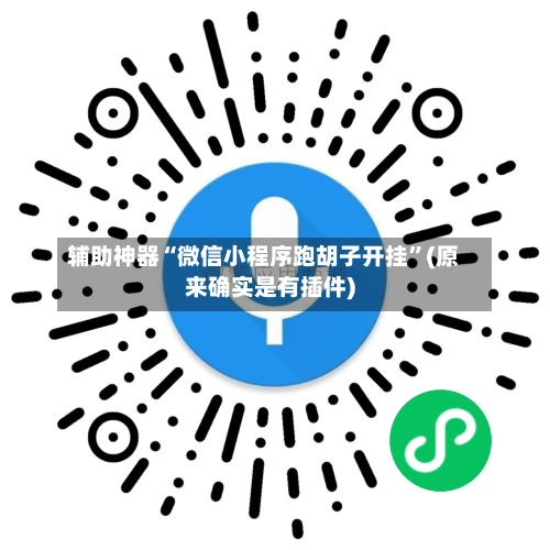 辅助神器“微信小程序跑胡子开挂	”(原来确实是有插件)-第2张图片