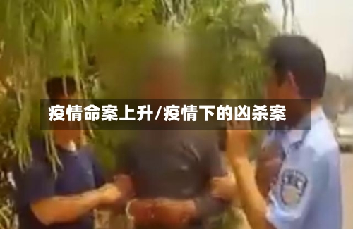 疫情命案上升/疫情下的凶杀案-第3张图片