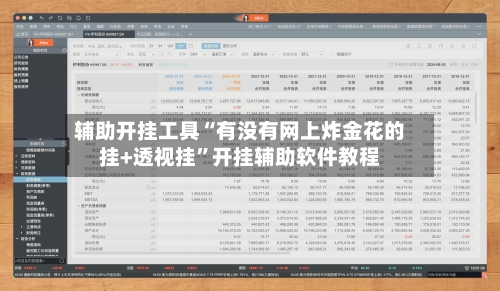 辅助开挂工具“有没有网上炸金花的挂+透视挂”开挂辅助软件教程