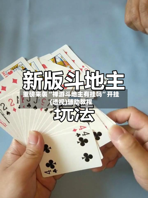 重磅来袭“禅游斗地主有挂吗”开挂(透视)辅助教程-第3张图片