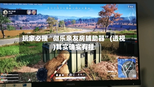 玩家必搜“微乐亲友房辅助器”(透视)其实确实有挂-第3张图片